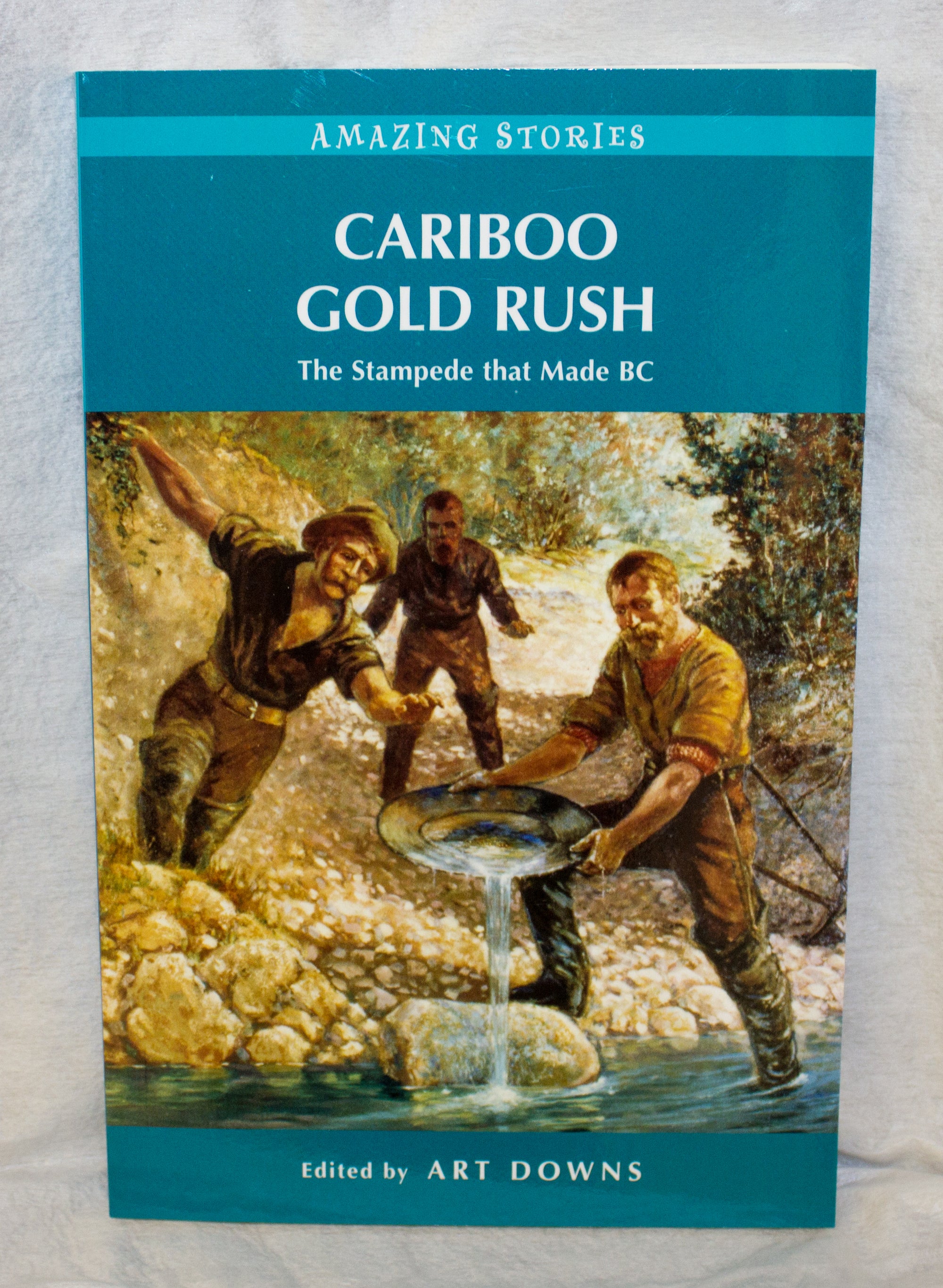 The ReDiscoverers - Gold Rush Supplies Inc.